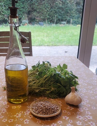 pesto d'hiver santé naturelle huile d'olive ail graines de tournesol pourpier antioxydants, acide gras polyinsaturés et monoinsaturés oméga 9, vitamine C